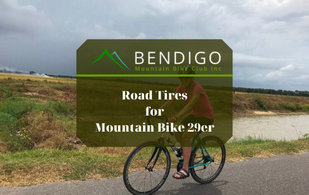 best mtb tires for road